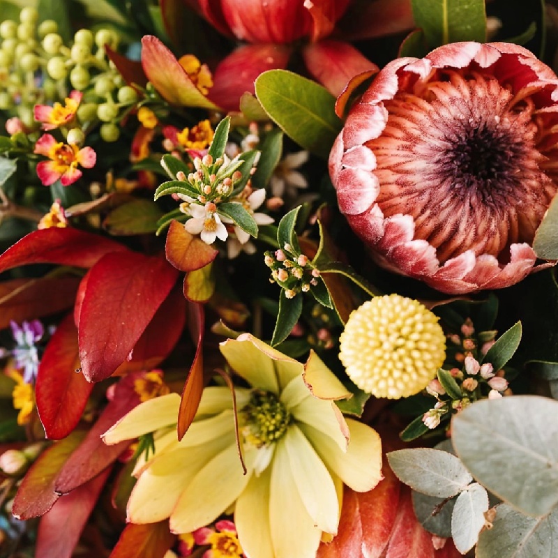 Native Blooms